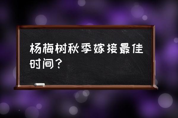 杨梅嫁接的最佳时间和方法 杨梅树秋季嫁接最佳时间？