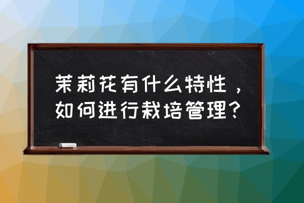 各种花的种植跟管理方法 茉莉花有什么特性，如何进行栽培管理？