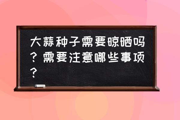 大蒜的种植和后期的管理 大蒜种子需要晾晒吗？需要注意哪些事项？