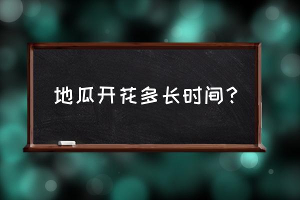 地瓜花的正确种植方法 地瓜开花多长时间？