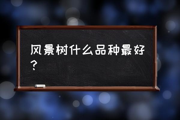 海南最漂亮的风景树 风景树什么品种最好？