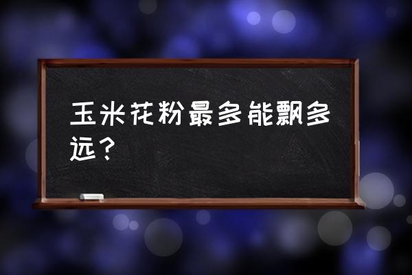 玉米怎么判断已授粉 玉米花粉最多能飘多远？