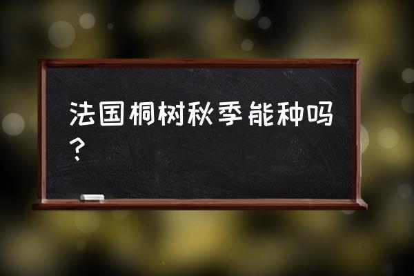 法桐什么时候栽最好 法国桐树秋季能种吗？