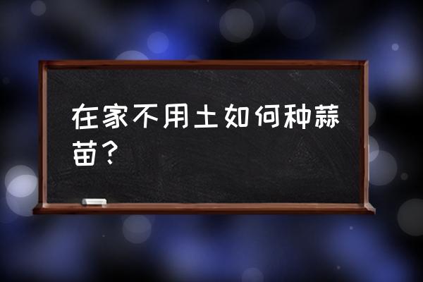 在家用水栽培蒜苗的方法 在家不用土如何种蒜苗？