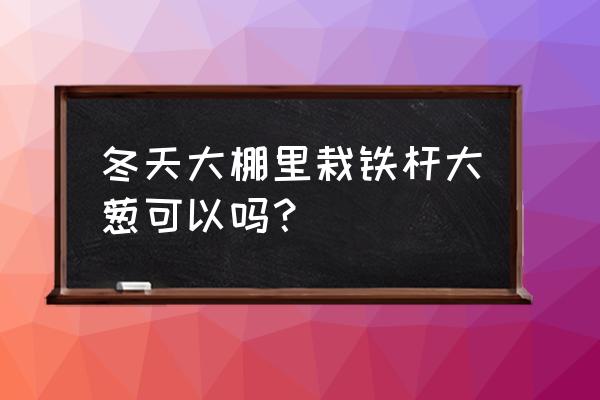 葱花的大棚种植方法 冬天大棚里栽铁杆大葱可以吗？