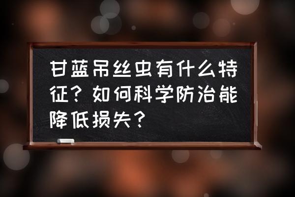 怎么做蛛丝液最简单 甘蓝吊丝虫有什么特征？如何科学防治能降低损失？