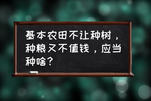 天津pvc自制家庭温室暖棚 基本农田不让种树，种粮又不值钱，应当种啥？