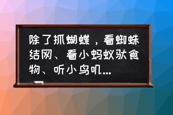 蜘蛛的简笔画带颜色 除了抓蝴蝶，看蜘蛛结网、看小蚂蚁驮食物、听小鸟叽喳叫，还能陪孩子做什么有趣的事？