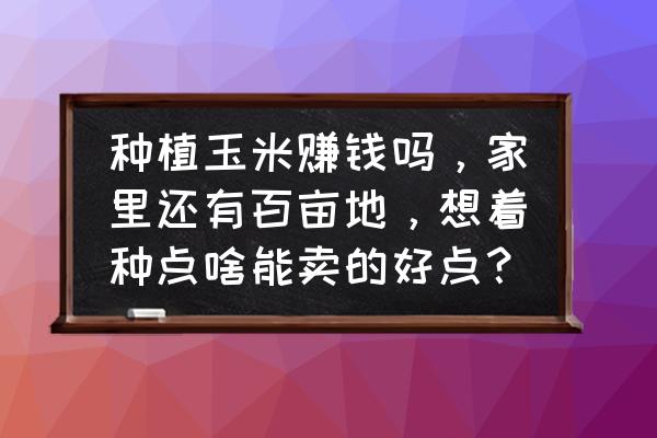 香菇销路怎么找到 种植玉米赚钱吗，家里还有百亩地，想着种点啥能卖的好点？