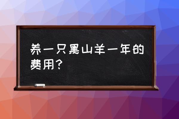 黑山羊种苗多少钱一只 养一只黑山羊一年的费用？