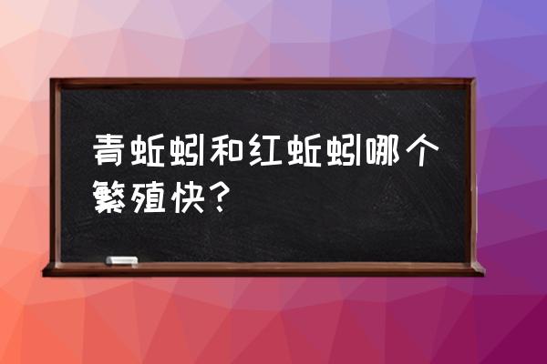 青蚯蚓的家庭养殖方法 青蚯蚓和红蚯蚓哪个繁殖快？