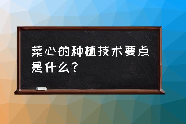 大面积菜心种植的方法与技术 菜心的种植技术要点是什么？