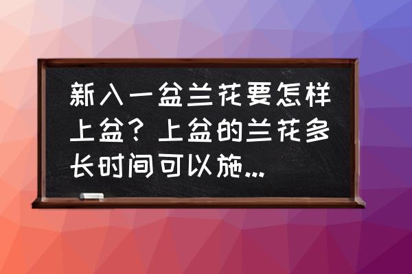 刚移栽的果树正确施肥方法 新入一盆兰花要怎样上盆？上盆的兰花多长时间可以施叶面肥？