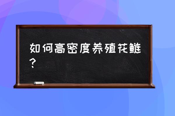 养殖大头鱼绝招 如何高密度养殖花鲢？