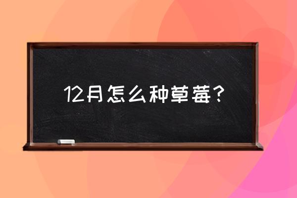 三月份自己种草莓教程 12月怎么种草莓？