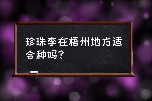 购买了珍珠李枝条在家里如何养护 珍珠李在梧州地方适合种吗？