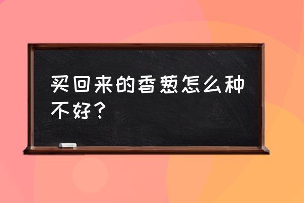 买回来的葱在家怎样种植 买回来的香葱怎么种不好？