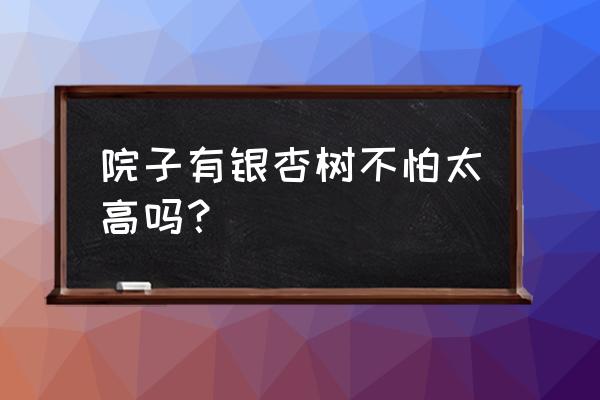 家里的院子适合种银杏树吗 院子有银杏树不怕太高吗？