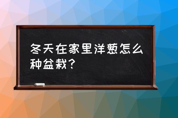 洋葱盆景图片大全 冬天在家里洋葱怎么种盆栽？