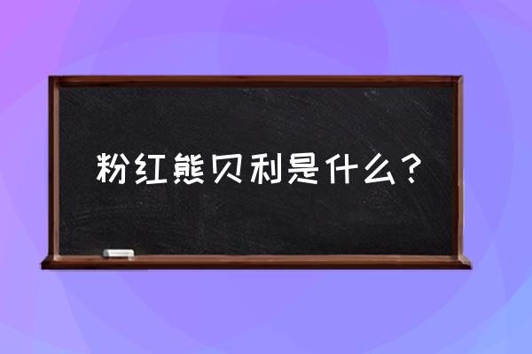 粉色卡通熊怎么画 粉红熊贝利是什么？