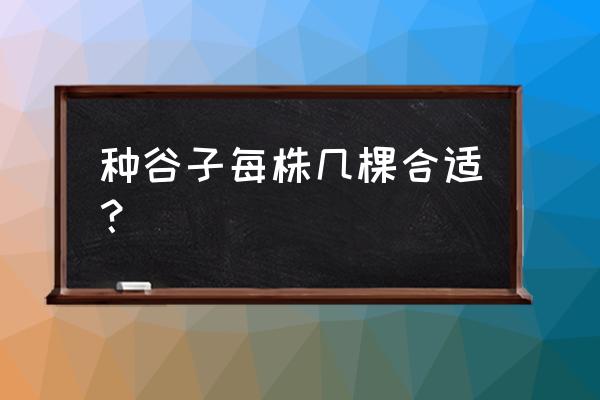 谷子的行距一般是多少 种谷子每株几棵合适？