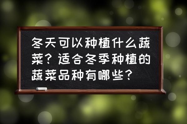 适合冬天栽培的十种蔬菜 冬天可以种植什么蔬菜？适合冬季种植的蔬菜品种有哪些？