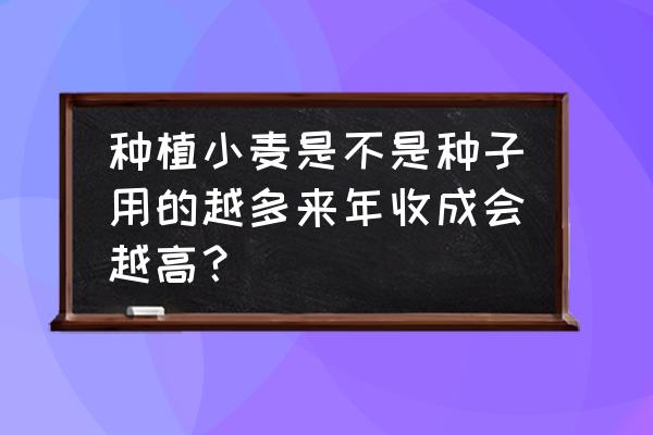 小麦怎么播种才能高产 种植小麦是不是种子用的越多来年收成会越高？