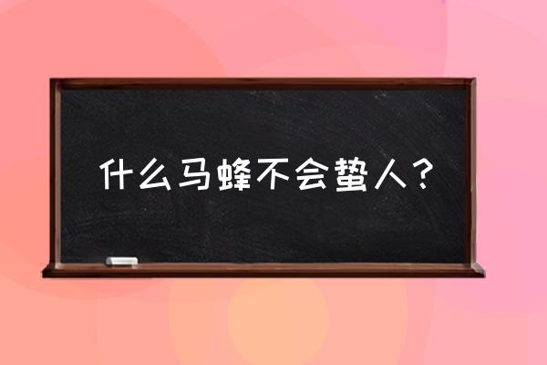 被土蜂黄蜂蛰一口要怎么处理 什么马蜂不会蛰人？