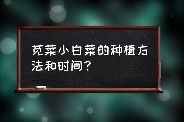 苋菜最佳种植时间 苋菜小白菜的种植方法和时间？