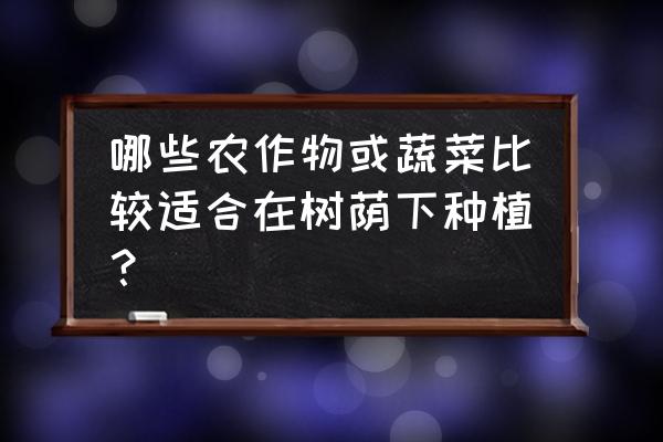 养鸡场旁边种什么最好 哪些农作物或蔬菜比较适合在树荫下种植？