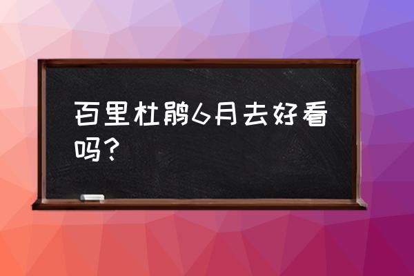 游览百里杜鹃最佳时间和地点 百里杜鹃6月去好看吗？