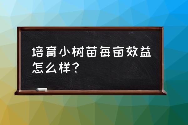 楸树如何繁育树苗 培育小树苗每亩效益怎么样？