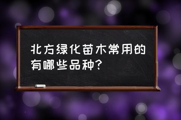 北方名贵绿化树种排行 北方绿化苗木常用的有哪些品种？