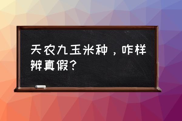 怎样识别套装玉米种 天农九玉米种，咋样辨真假？