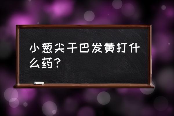 大葱叶子发黄怎么补救 小葱尖干巴发黄打什么药？