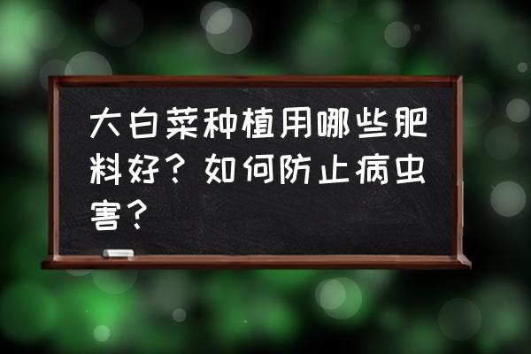 大白菜怎样施肥效益好 大白菜种植用哪些肥料好？如何防止病虫害？