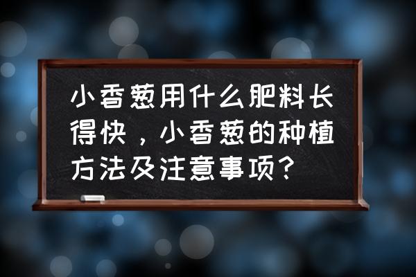 种香葱用什么肥料最好 小香葱用什么肥料长得快，小香葱的种植方法及注意事项？