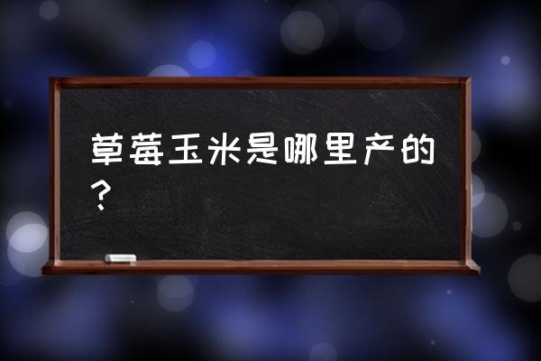 草莓玉米有什么销路 草莓玉米是哪里产的？