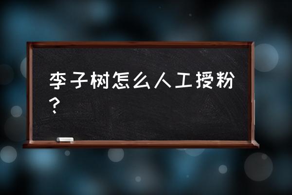 李子树授粉最佳方法 李子树怎么人工授粉？