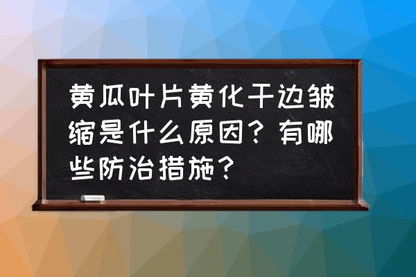 黄瓜黄叶病的原因及防治 黄瓜叶片黄化干边皱缩是什么原因？有哪些防治措施？