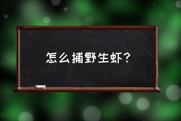 小龙虾夹断了怎么补救 怎么捕野生虾？