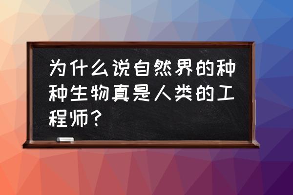 海豚的恩赐阅读题答案 为什么说自然界的种种生物真是人类的工程师？