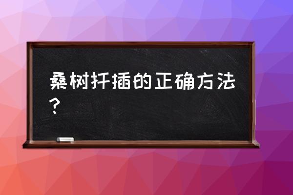 扦插苗成活率高的办法 桑树扦插的正确方法？