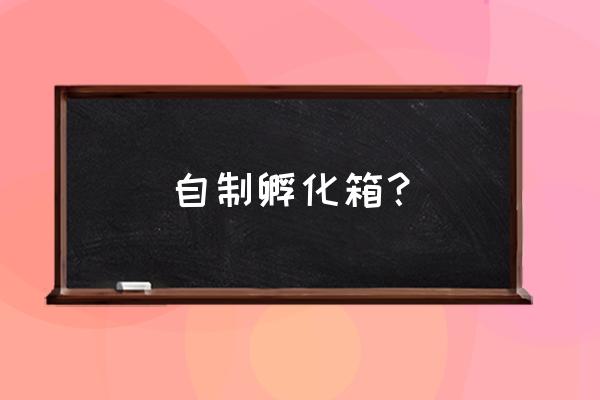 家庭自制小鸡孵化箱 自制孵化箱？