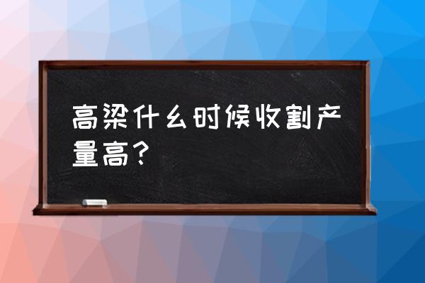 甜高粱能重茬种植吗 高梁什幺时候收割产量高？