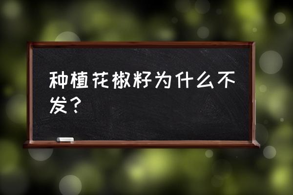 青花椒种子要怎样处理才会出芽 种植花椒籽为什么不发？