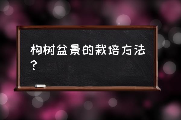 构树果实正确吃法 构树盆景的栽培方法？