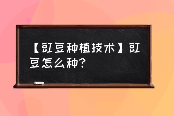 秋豇豆的制作方法 【豇豆种植技术】豇豆怎么种？