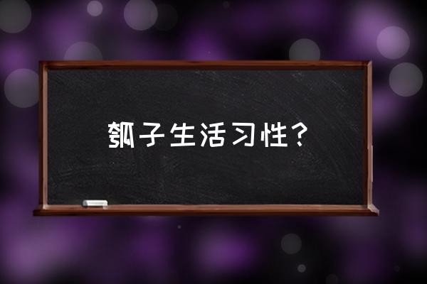 夏季什么时间种植瓠瓜最好 瓠子生活习性？