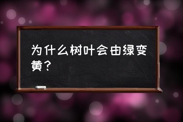 用什么方法使发黄的叶子变绿 为什么树叶会由绿变黄？